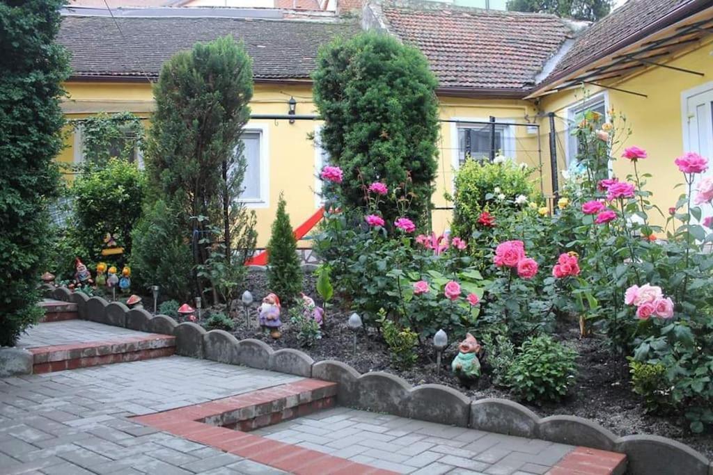 Color Home Hermannstadt 1 Extérieur photo